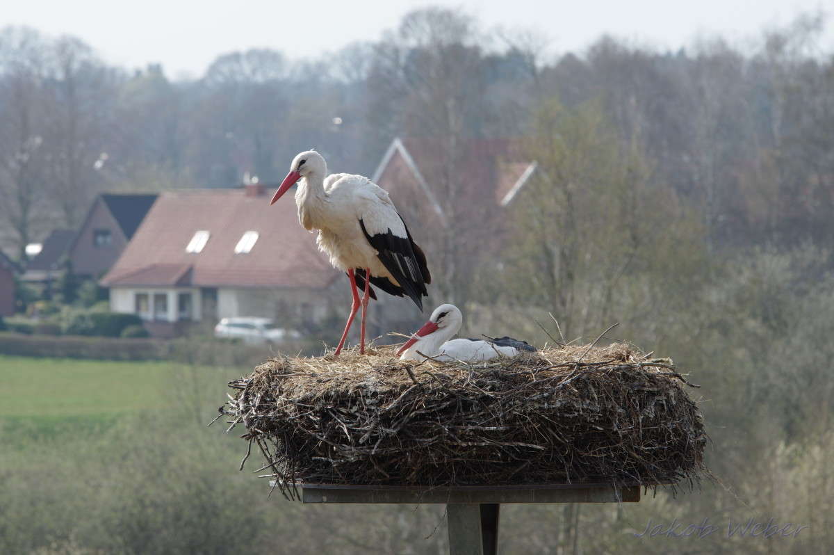 �������� ������� ����� ���� ����� �� PhotoGeek.ru #�������� ��� #������ ��� ������� #����� ��� ��� ��������� #������