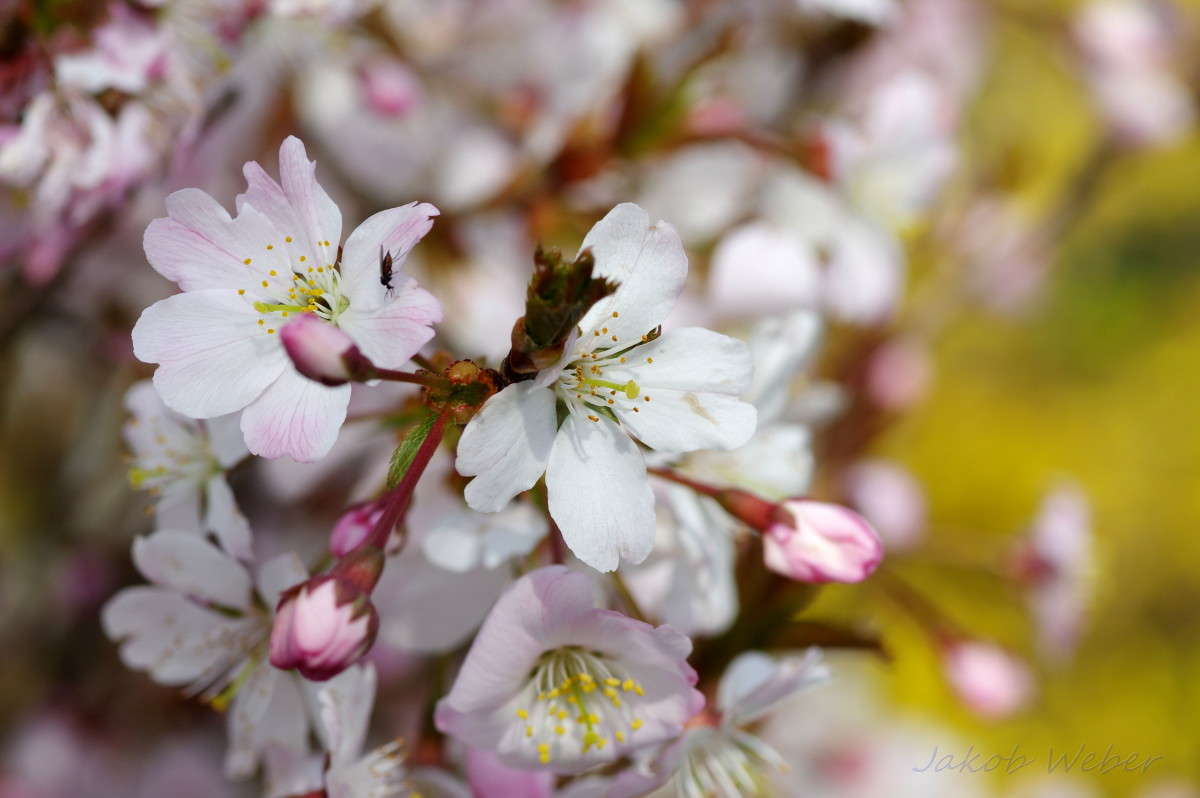 �������� ����� ���� ����� �� PhotoGeek.ru #�������� ��� #������ ��� ������� #����� ��������������