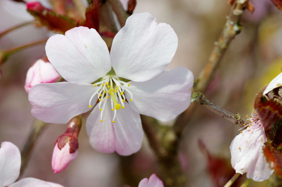 ������ ������ ����������� ����� ���� ����� �� PhotoGeek.ru #������ ��� ������� #����� �������������� #������