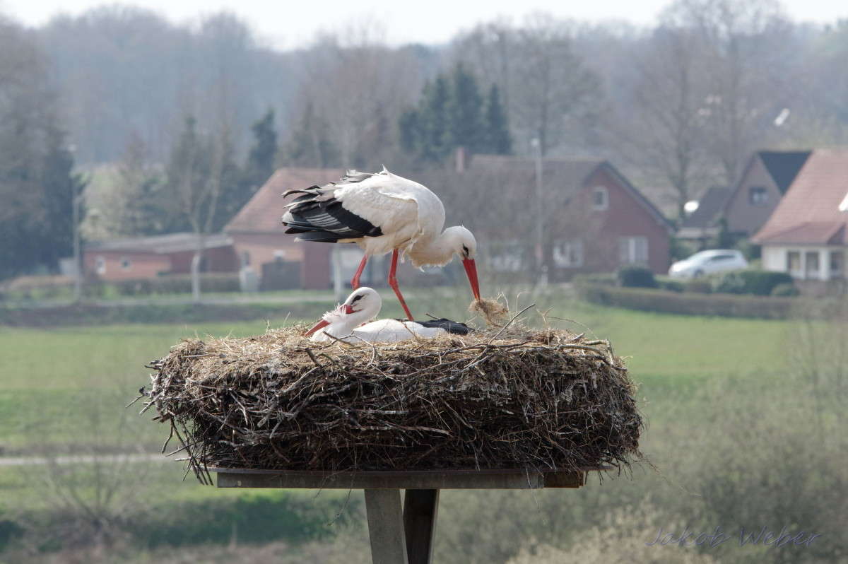 ������������� ������ ����� ���� ����� �� PhotoGeek.ru #�������� ��� #����� ��� ��� ���������