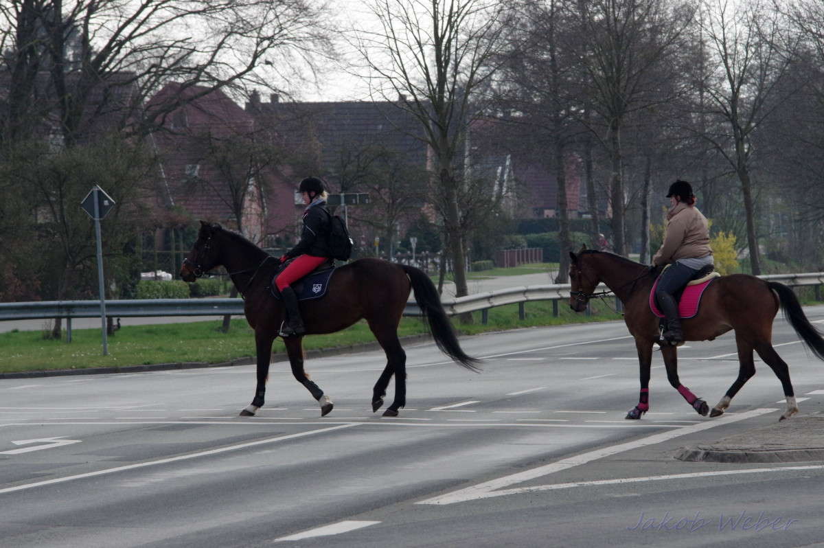 ��������-�������. ����� ���� ����� �� PhotoGeek.ru #�������� ��� #�������� ���������� #�������� ���