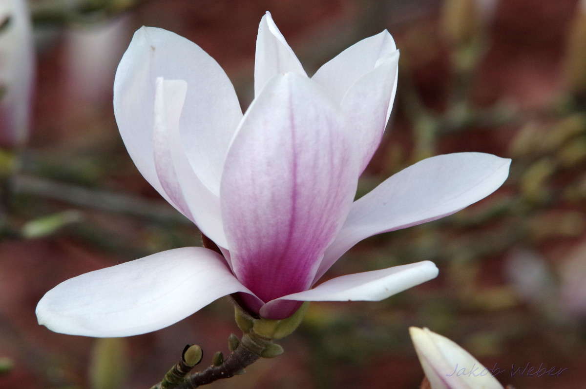 �������� ����� ���� ����� �� PhotoGeek.ru #����� #������ ��� ������� #����� �������������� #������