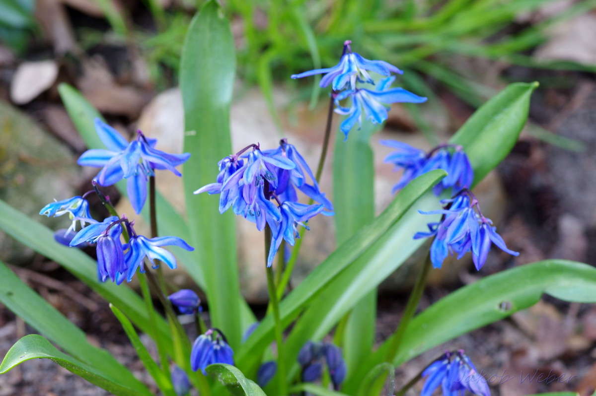 ����������� ����� ���� ����� �� PhotoGeek.ru #������ ��� ������� #����� �������������� #������