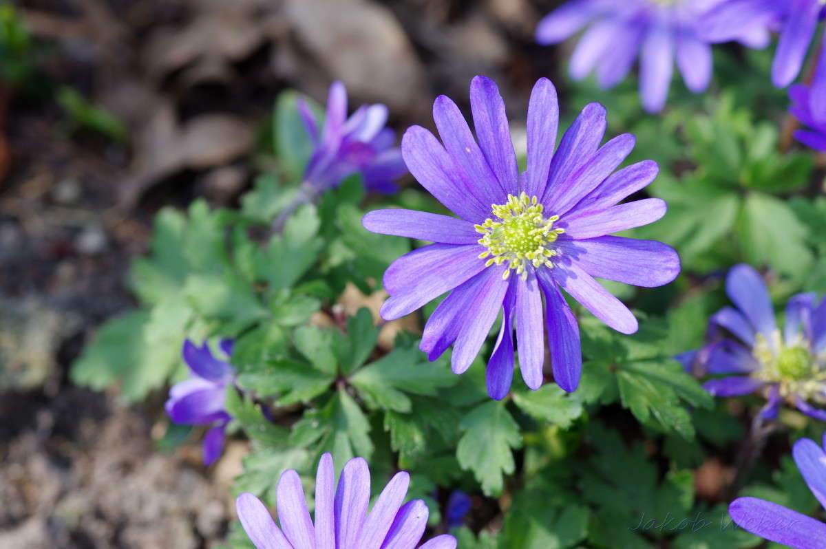 _"_"_ ����� ���� ����� �� PhotoGeek.ru #������ ��� ������� #����� �������������� #������