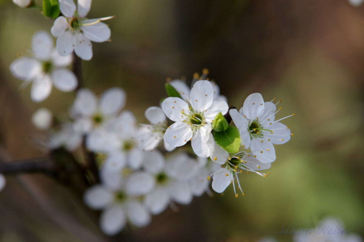 ���������� ����� ���� ����� �� PhotoGeek.ru #������ ��� ������� #����� �������������� #������