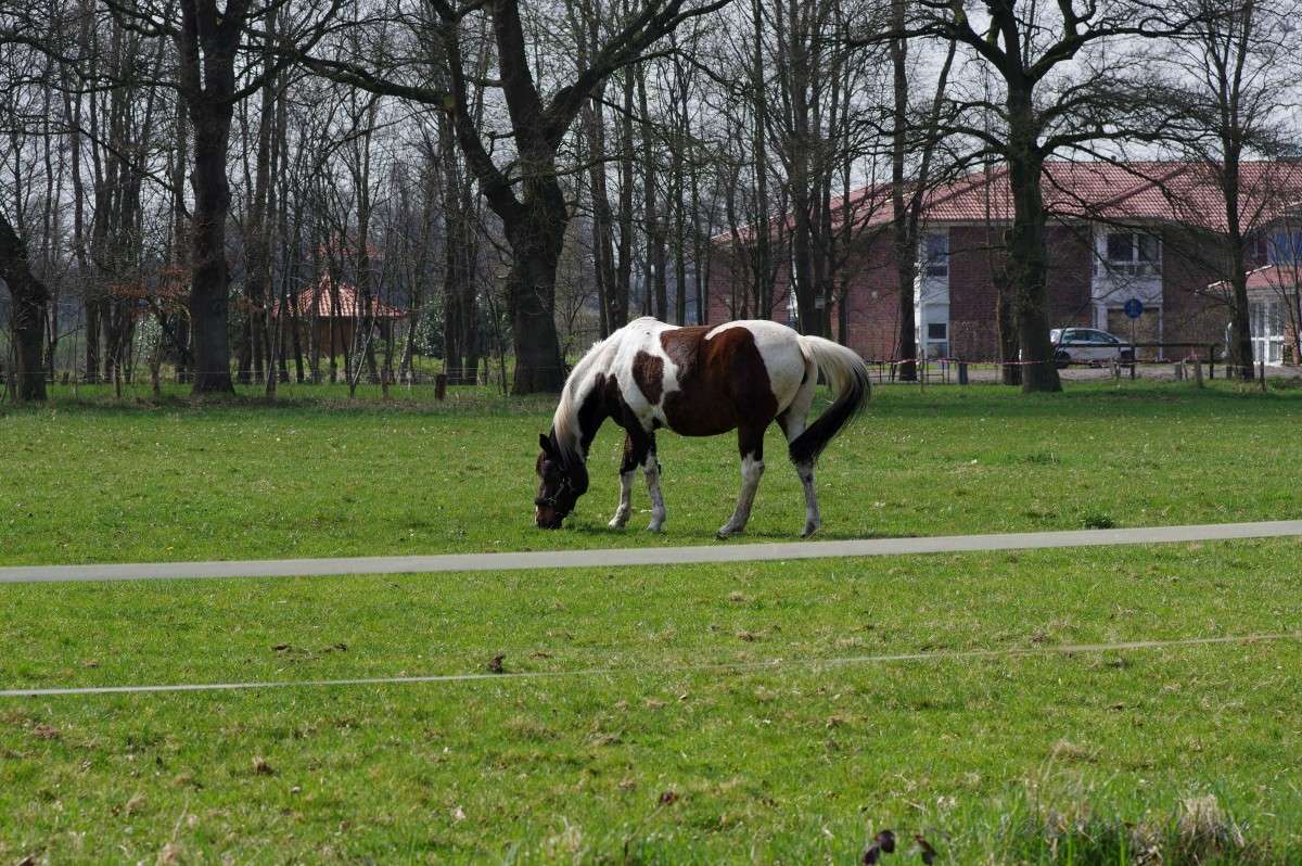 ����� ����� ���� ����� �� PhotoGeek.ru #�������� ��� #������ ��� ������� #������