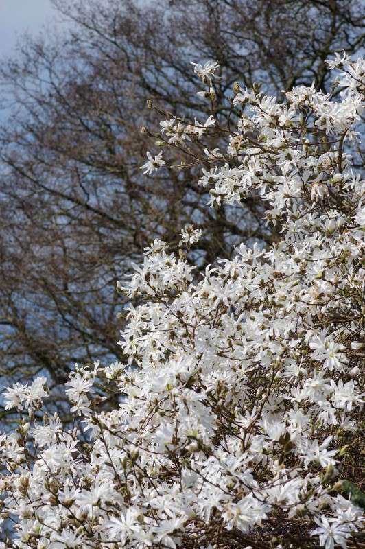 ����� �������� ����� ���� ����� �� PhotoGeek.ru #������ ��� ������� #����� �������������� #������