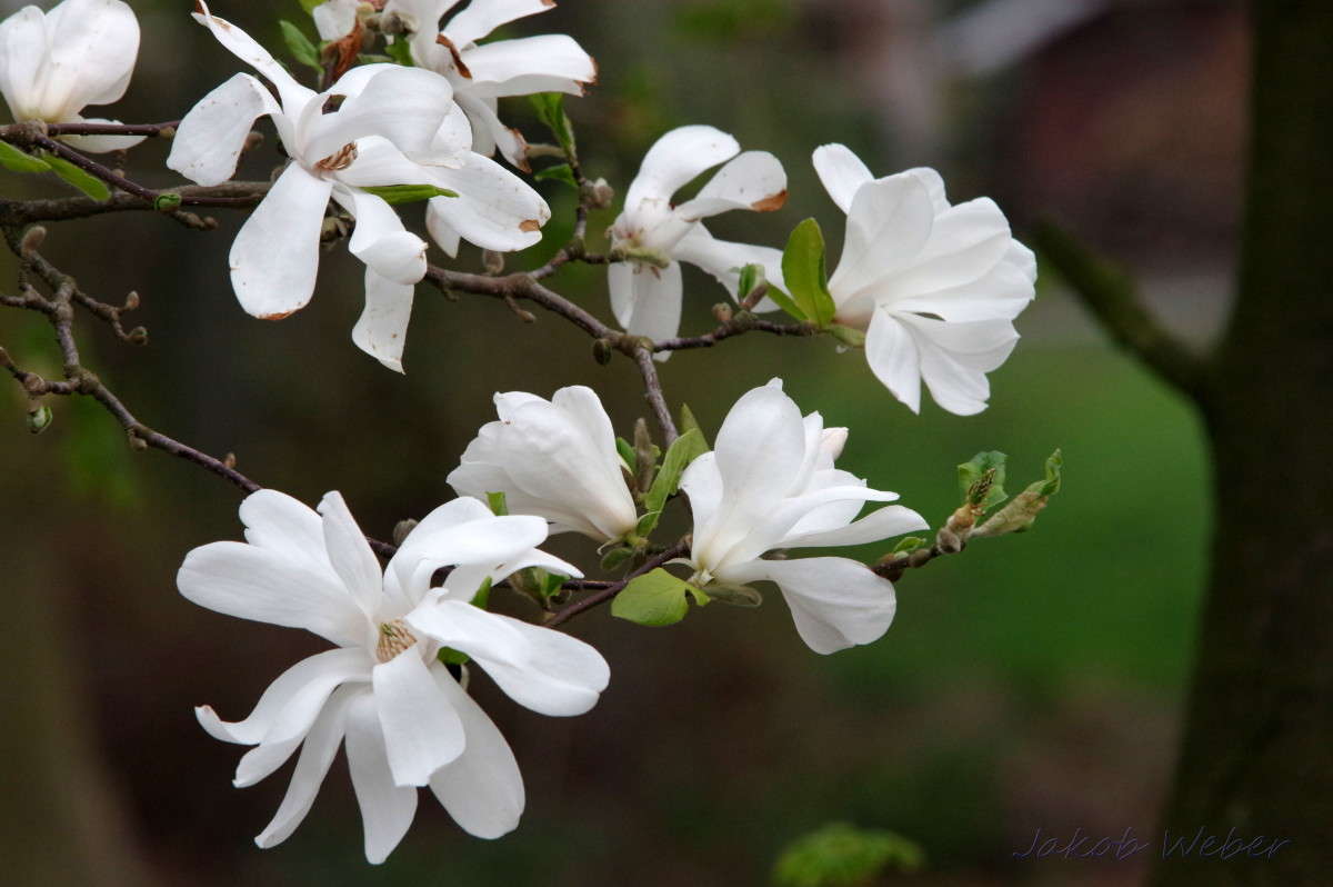 ����� �������� ����� ���� ����� �� PhotoGeek.ru #������ ��� ������� #����� �������������� #������