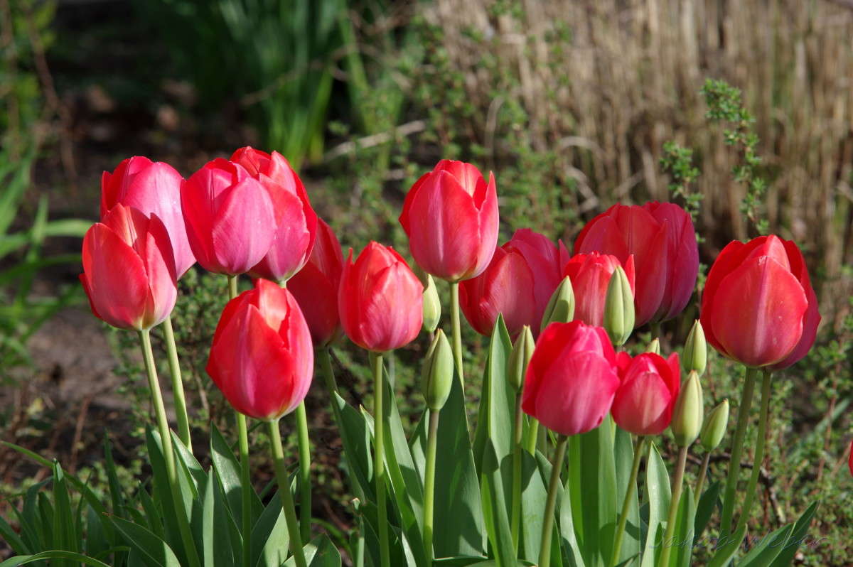 ��������. ����� ���� ����� �� PhotoGeek.ru #������ ��� ������� #����� �������������� #������