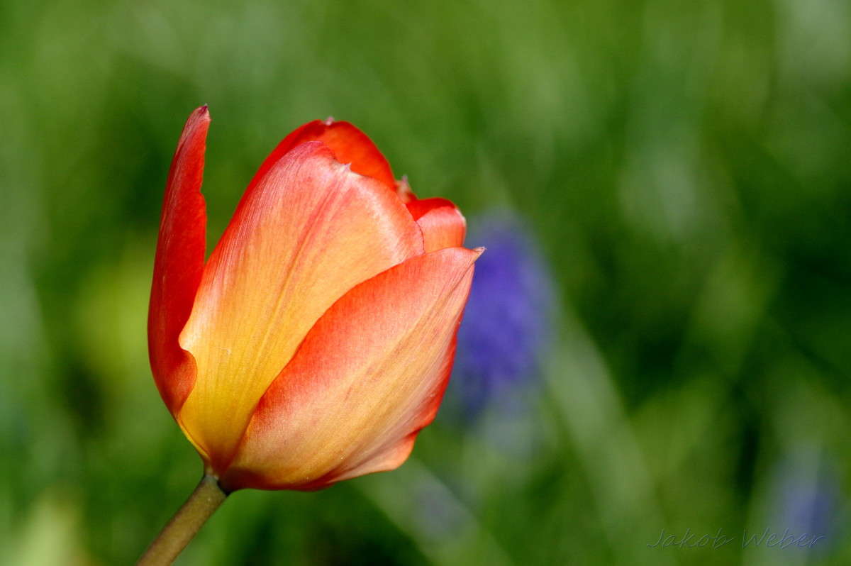 ������� ��������� ������. ����� ���� ����� �� PhotoGeek.ru #����� #������ ��� ������� #����� ��������������