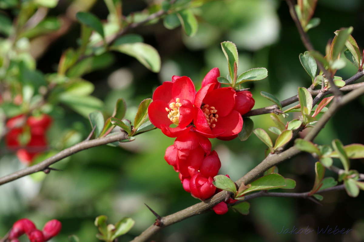 ��������� ����� ���� ����� �� PhotoGeek.ru #����� #������ ��� ������� #����� �������������� #������