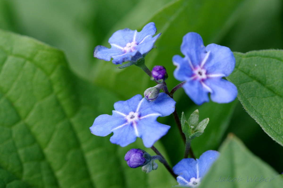 ��������� ����� ���� ����� �� PhotoGeek.ru #����� #������ ��� ������� #����� �������������� #������