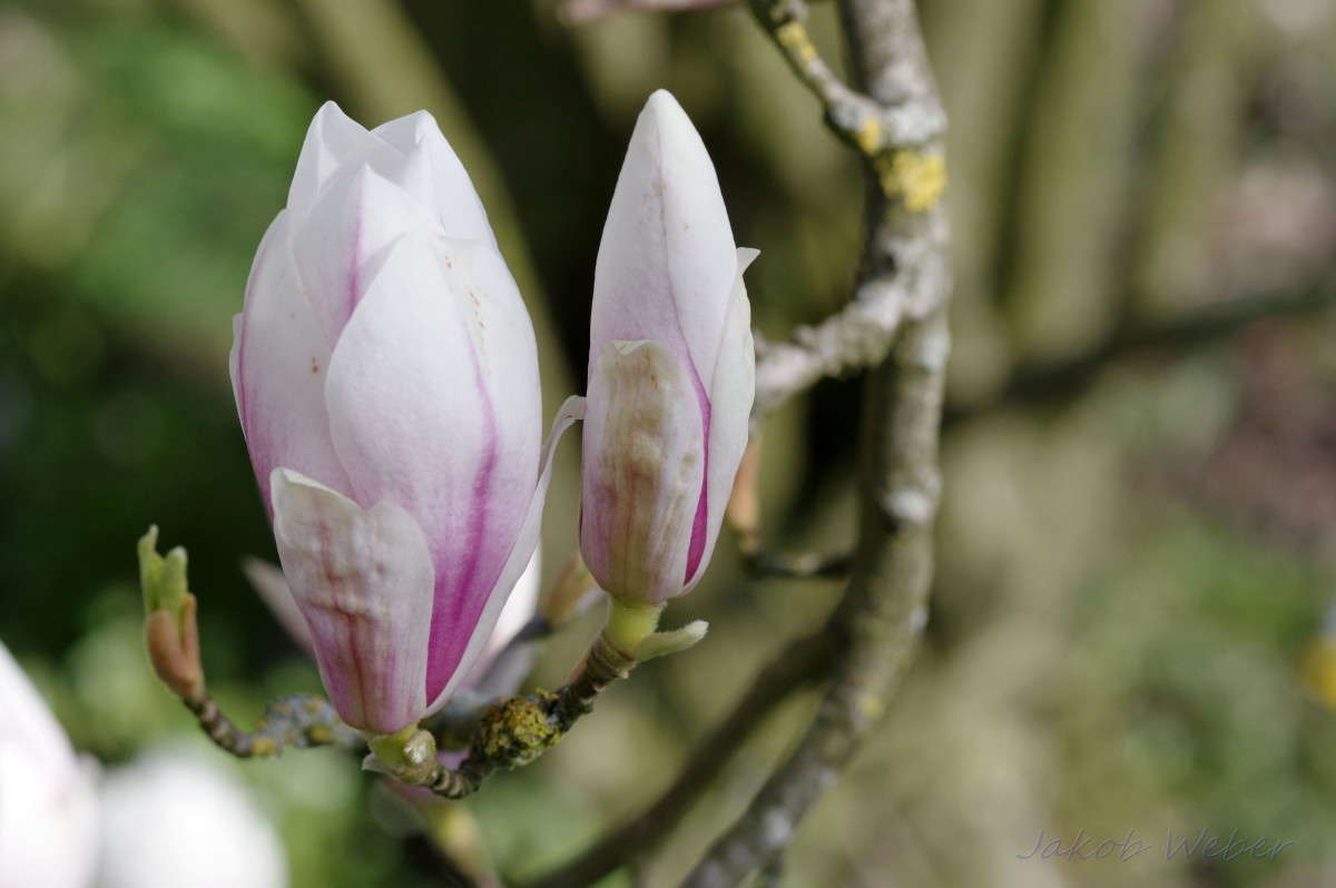 �������� ����� ���� ����� �� PhotoGeek.ru #������ ��� ������� #����� �������������� #������