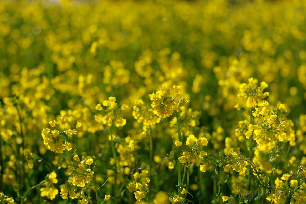 ��������. ����� ���� ����� �� PhotoGeek.ru #������ ��� ������� #����� �������������� #��������� #����� ��������