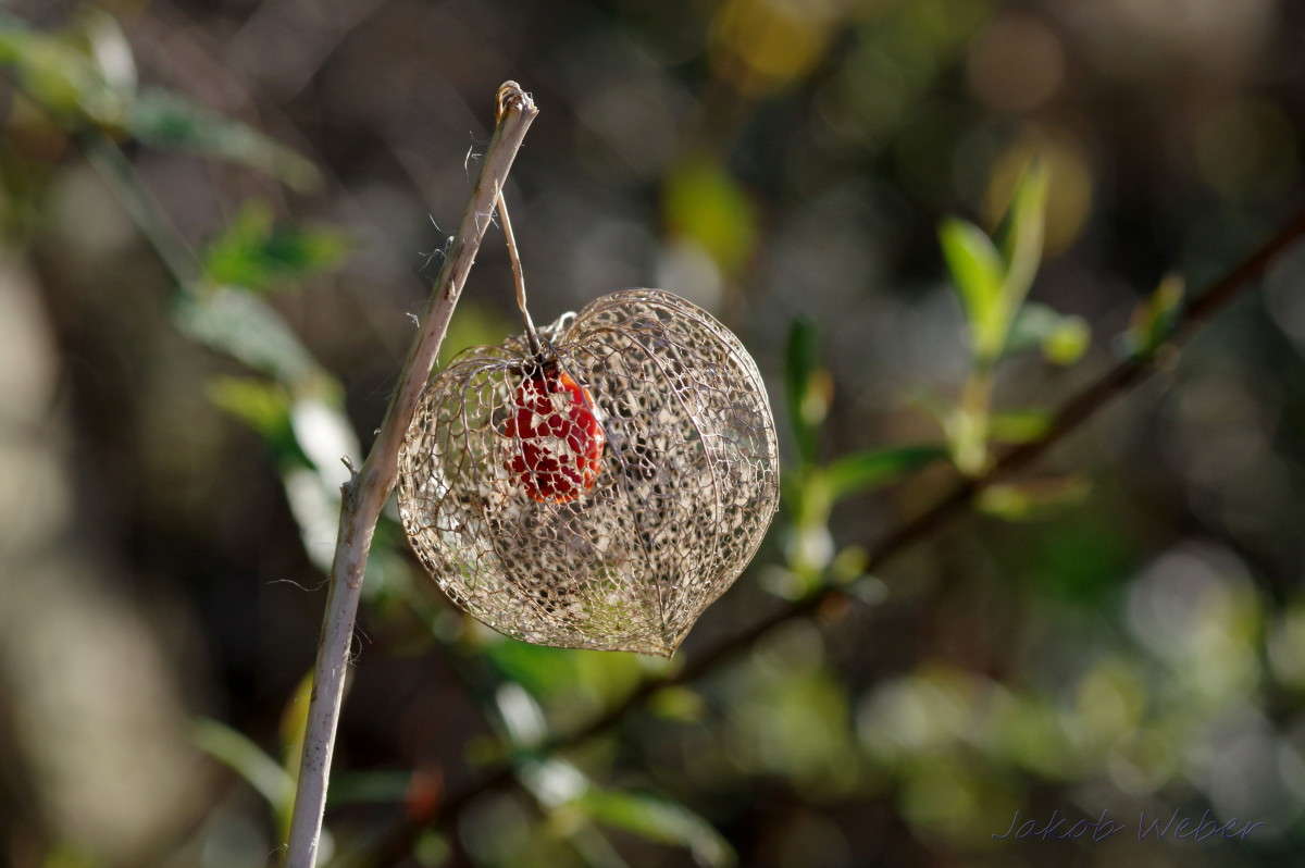 ������� ��������������. ����� ���� ����� �� PhotoGeek.ru #������ ��� ������� #����� �������������� #������