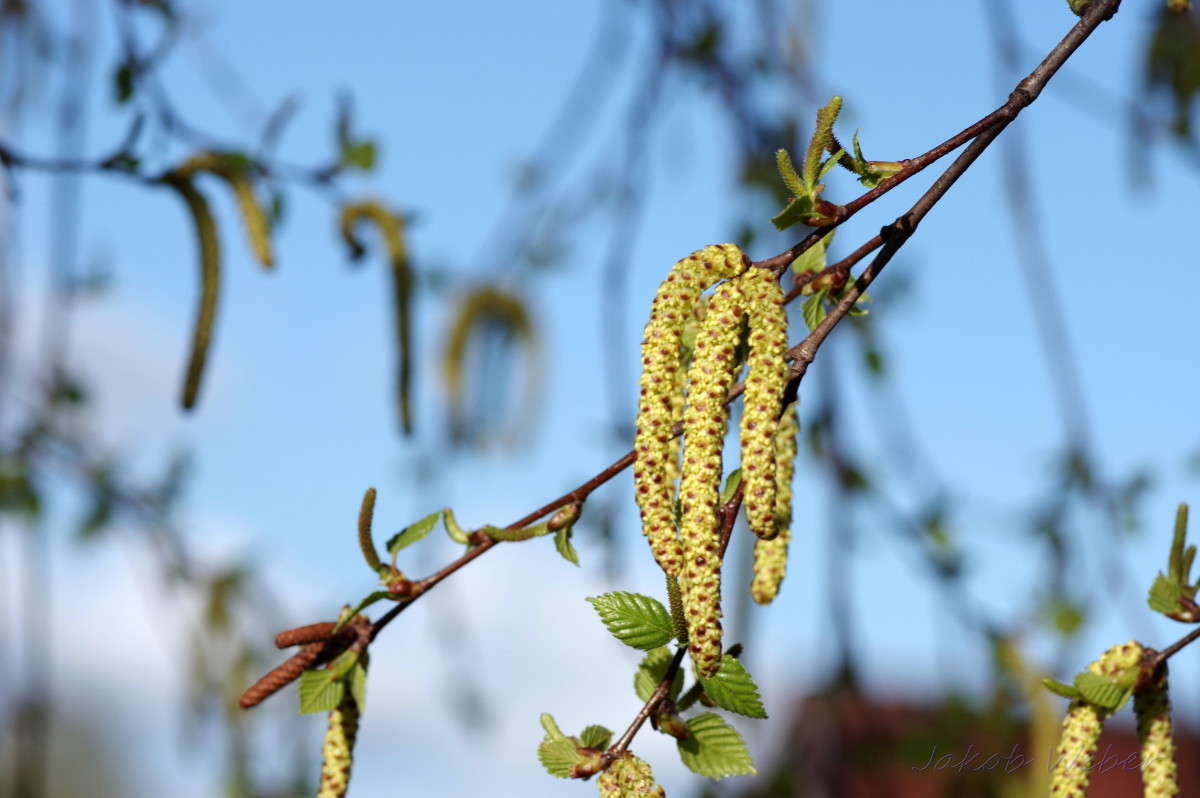 ������ ����� ���� ����� �� PhotoGeek.ru #������ ��� ������� #����� �������������� #������