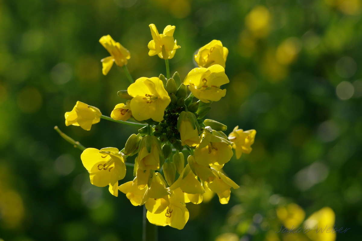 �������� ����� ���� ����� �� PhotoGeek.ru #������ ��� ������� #����� �������������� #������