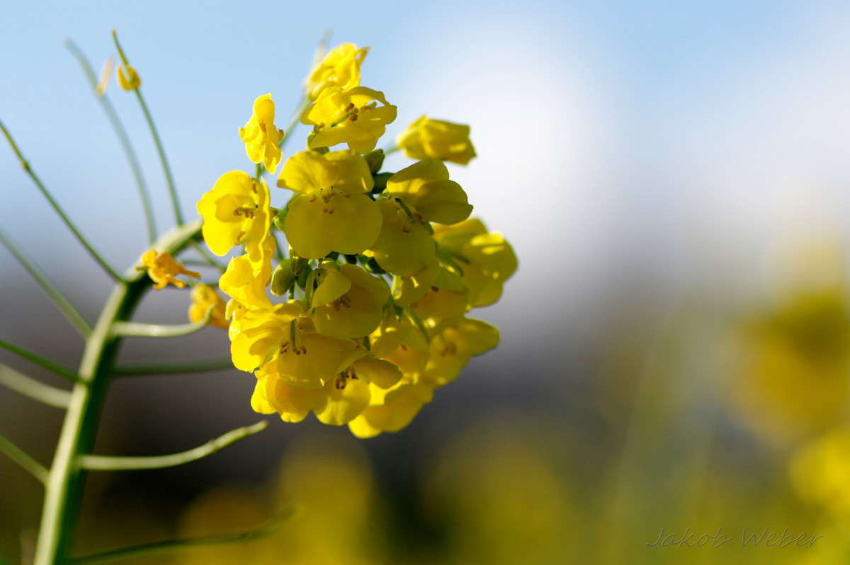 ���� ����� ���� ����� �� PhotoGeek.ru #������ ��� ������� #����� �������������� #������