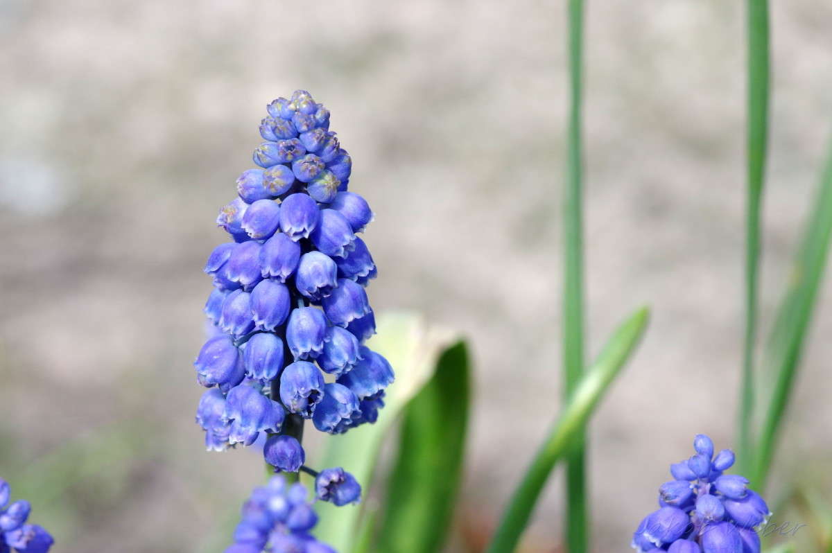 �������� ����� ���� ����� �� PhotoGeek.ru #����� #������ ��� ������� #����� ��������������