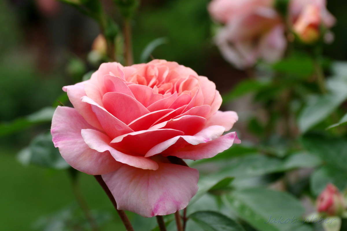 ���� ����� ���� ����� �� PhotoGeek.ru #������ ��� ������� #����� �������������� #������