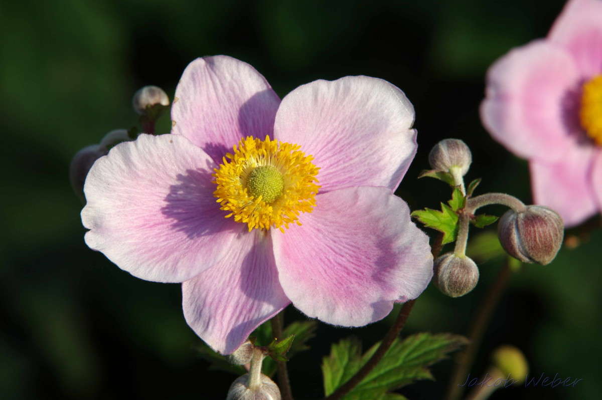 ��������� ���������. ����� ���� ����� �� PhotoGeek.ru #������ ��� ������� #����� �������������� #������