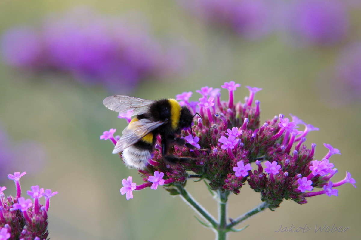 �������� ����� ���� ����� �� PhotoGeek.ru #�������� ��� #������ ��� ������� #����� ��� ��� ���������