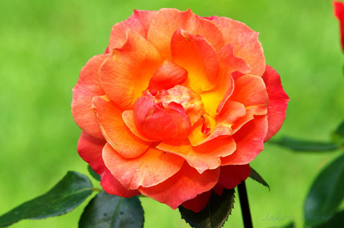 ���� ����� ���� ����� �� PhotoGeek.ru #������ ��� ������� #����� �������������� #������