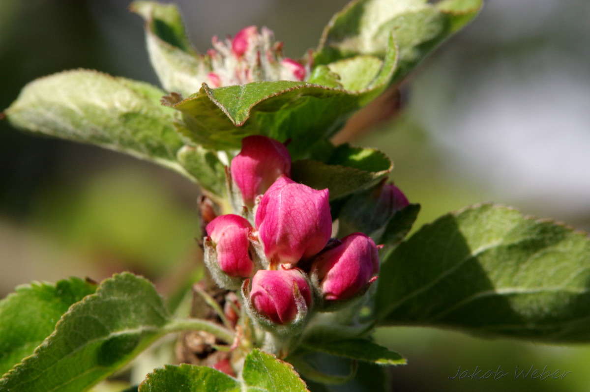 �������� ���� ����� ���� ����� �� PhotoGeek.ru #����� #������ ��� ������� #����� ��������������