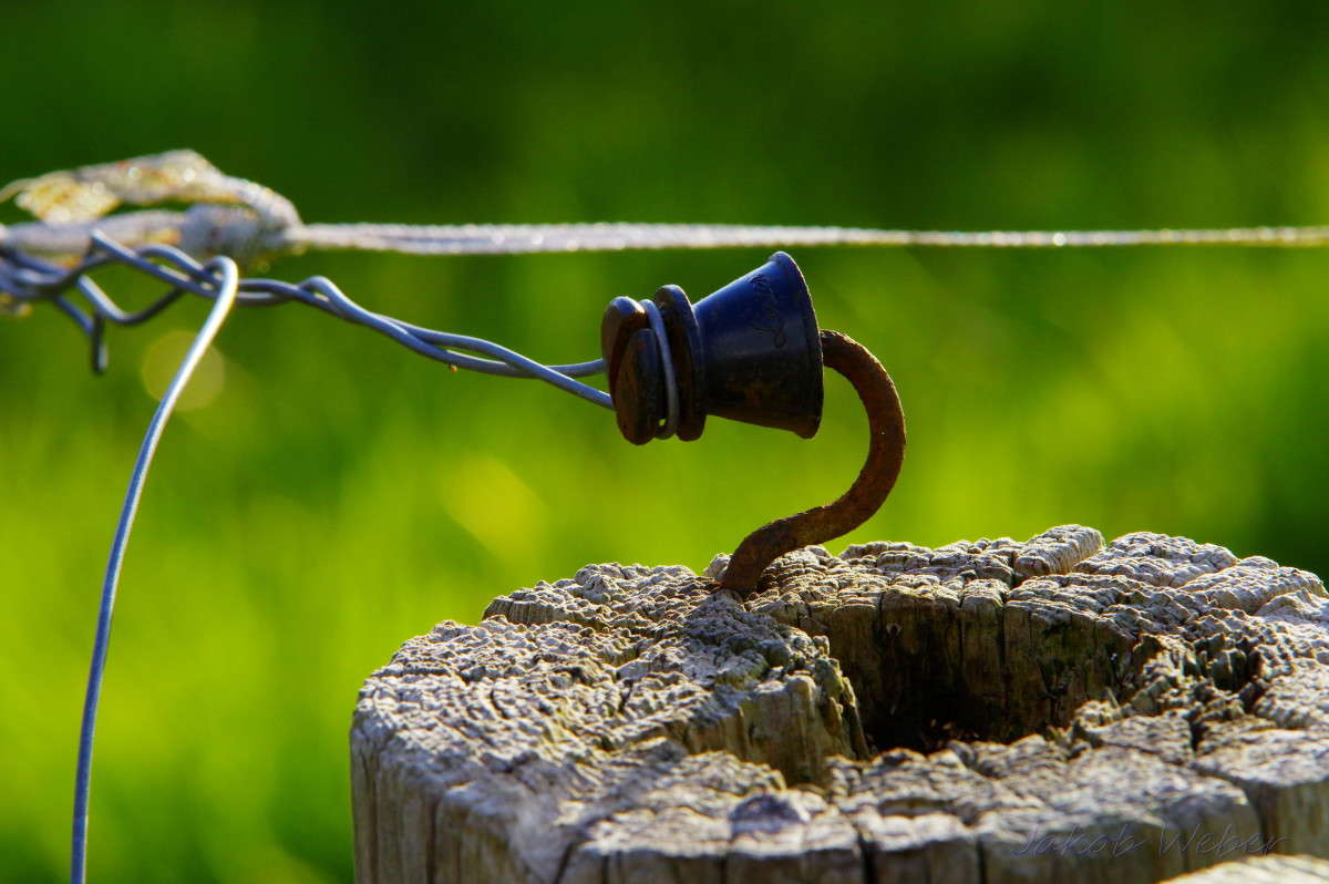 �������������� ����� ���� ����� �� PhotoGeek.ru #����� #������ ��� ������� #�������� ���������� #������