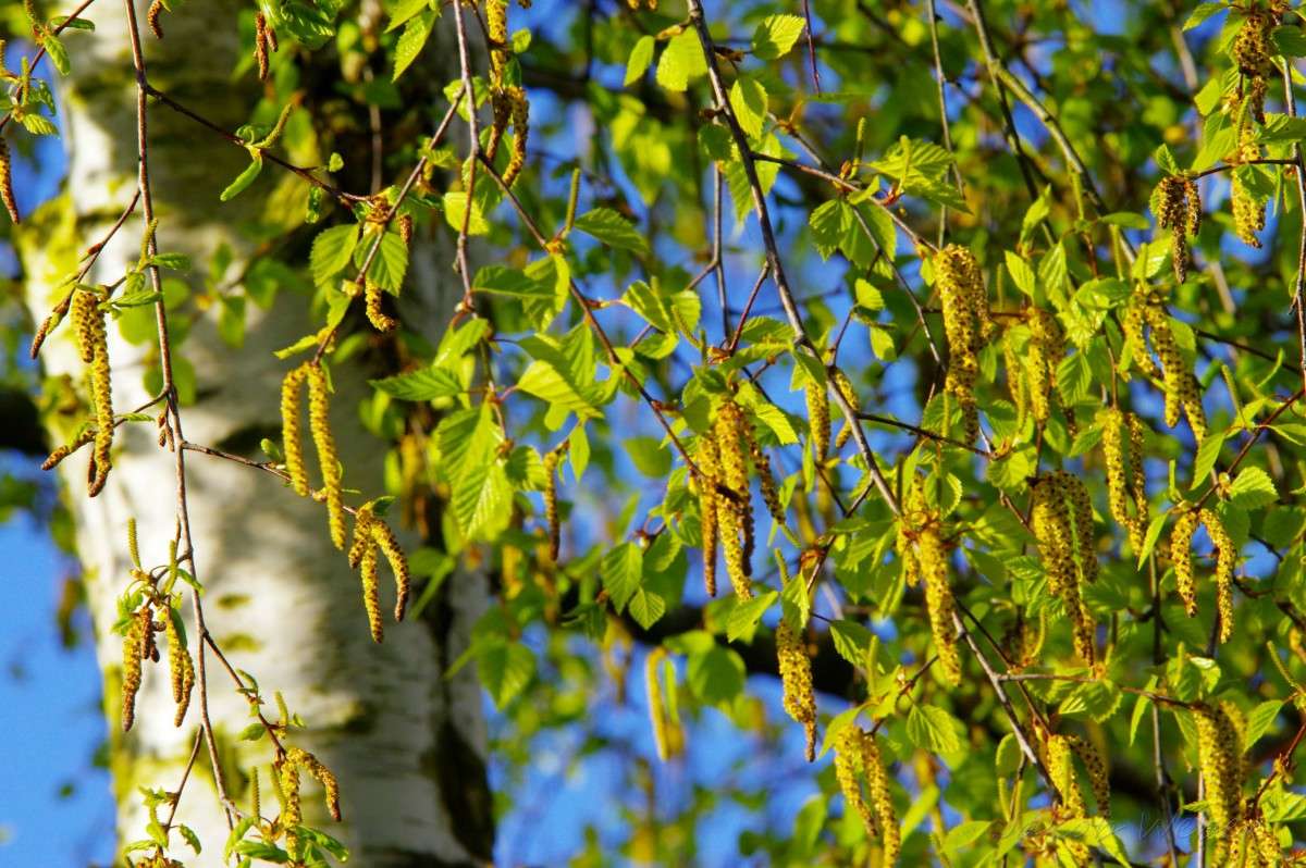 ����� ������� �����. ����� ���� ����� �� PhotoGeek.ru #������ ��� ������� #����� �������������� #������