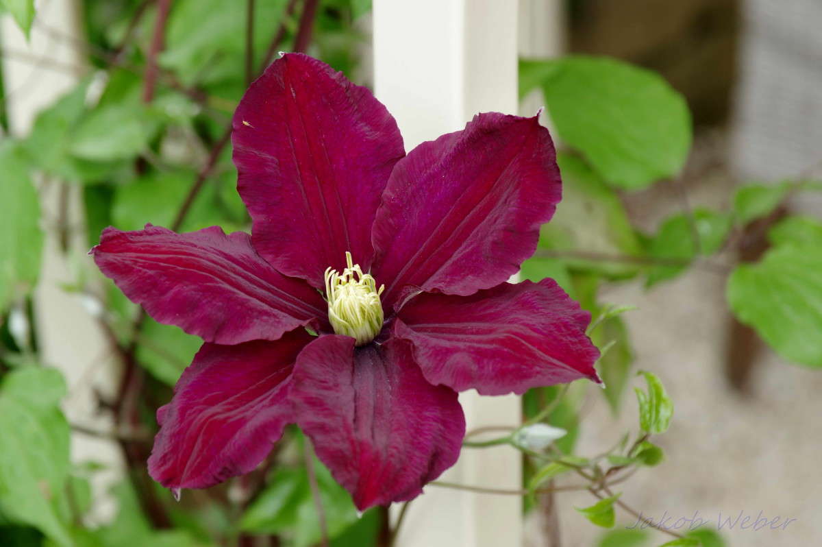 �������� ����� ���� ����� �� PhotoGeek.ru #������ ��� ������� #����� �������������� #������