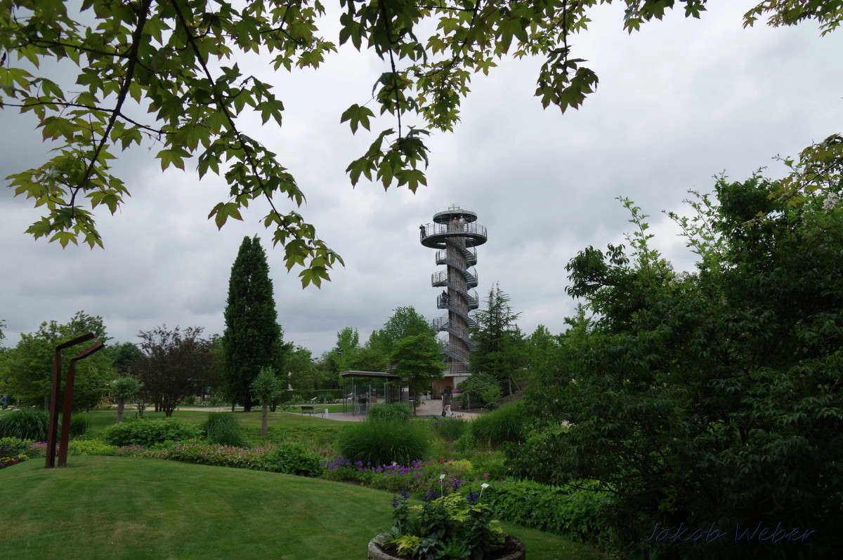 � ������� ����� ���� ����� �� PhotoGeek.ru #������ ��� ������� #������