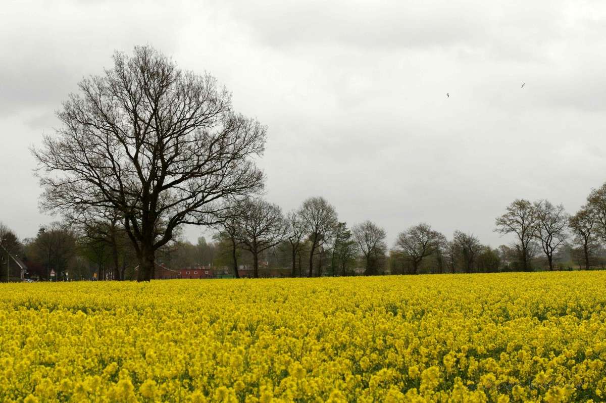 ��������� ��������� ����. ����� ���� ����� �� PhotoGeek.ru #������ ��� ������� #����� �������������� #������