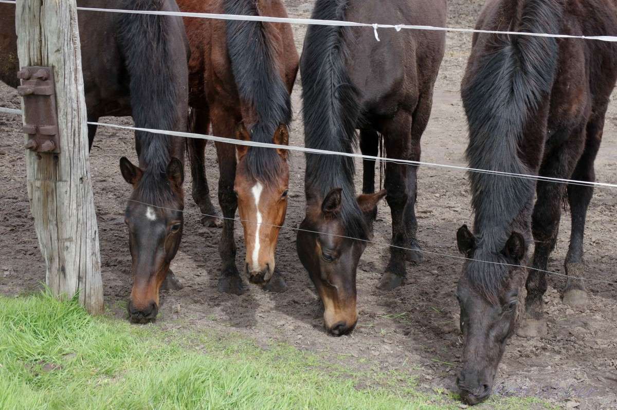 ������ ��������. ����� ���� ����� �� PhotoGeek.ru #�������� ���