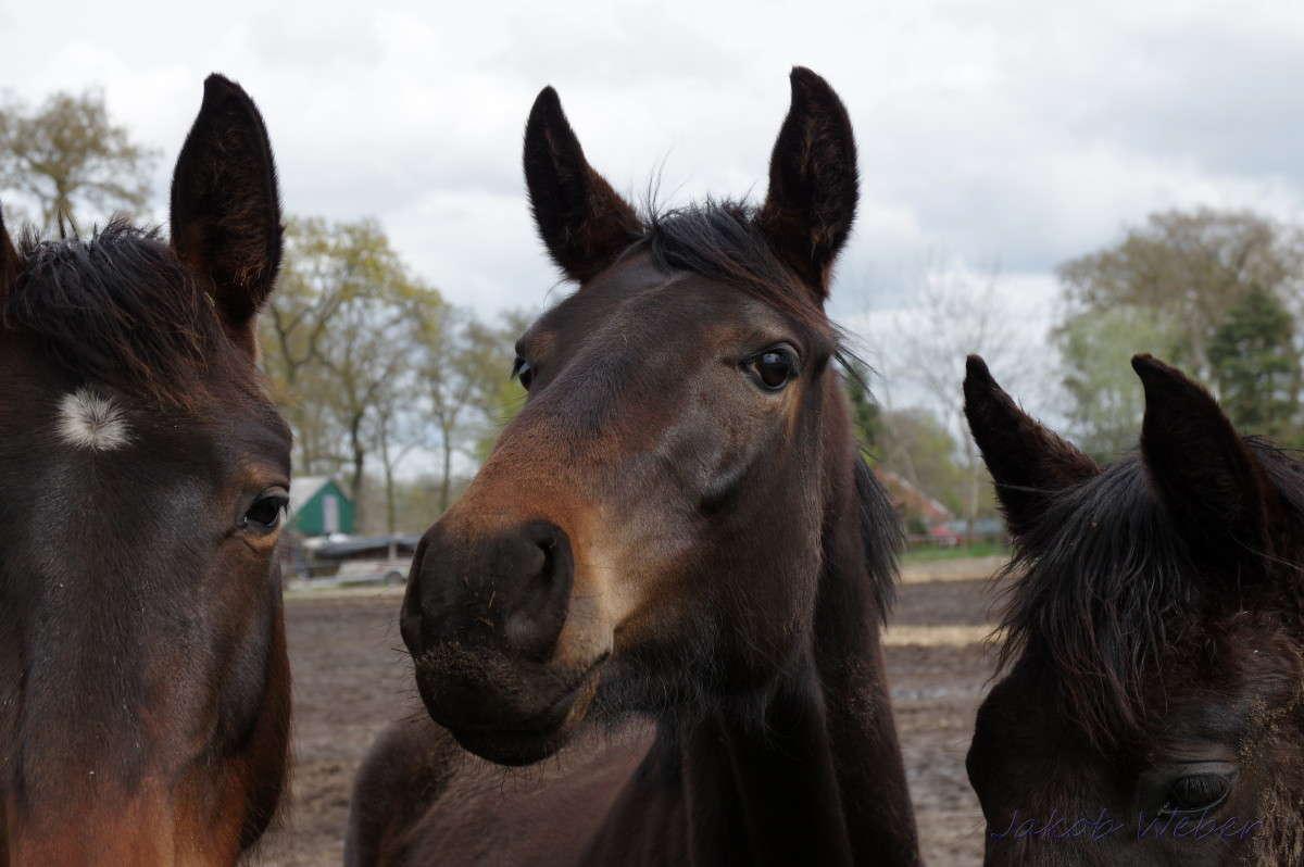 �������� ����� ���� ����� �� PhotoGeek.ru #�������� ��� #�������� ���������� #���������������