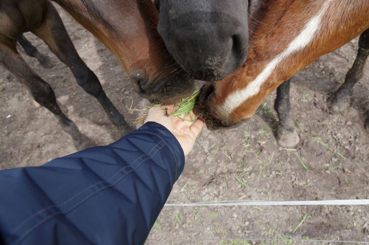 ���� ����������. ����� ���� ����� �� PhotoGeek.ru #�������� ��� #�������� ����������