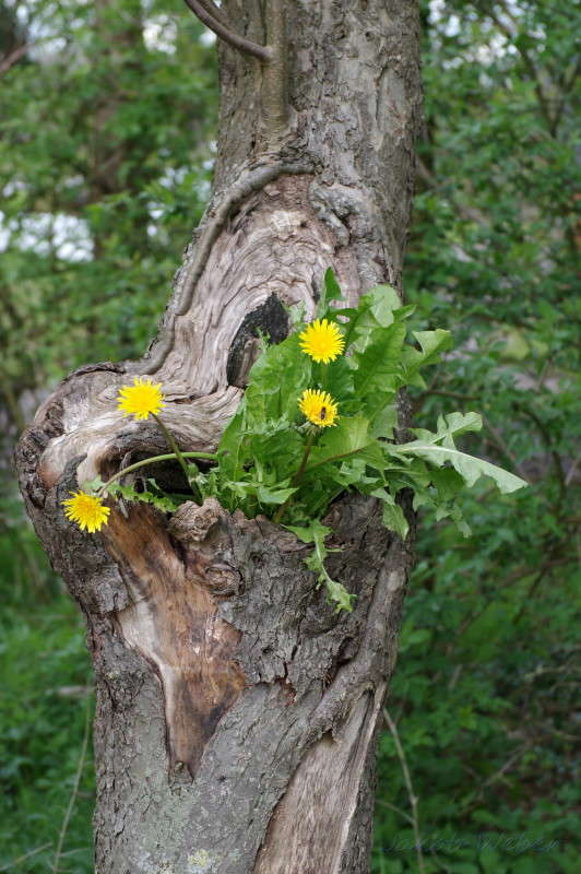 ���������� ������� �� ������. ����� ���� ����� �� PhotoGeek.ru #������ ��� ������� #�������� ���������� #����� �������������� #������