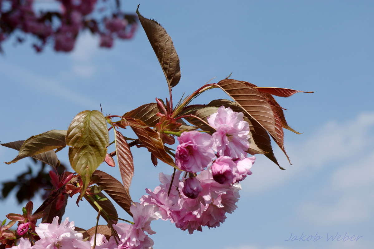 �������� �������� ����� ���� ����� �� PhotoGeek.ru #������ ��� ������� #�������� ���������� #����� �������������� #������