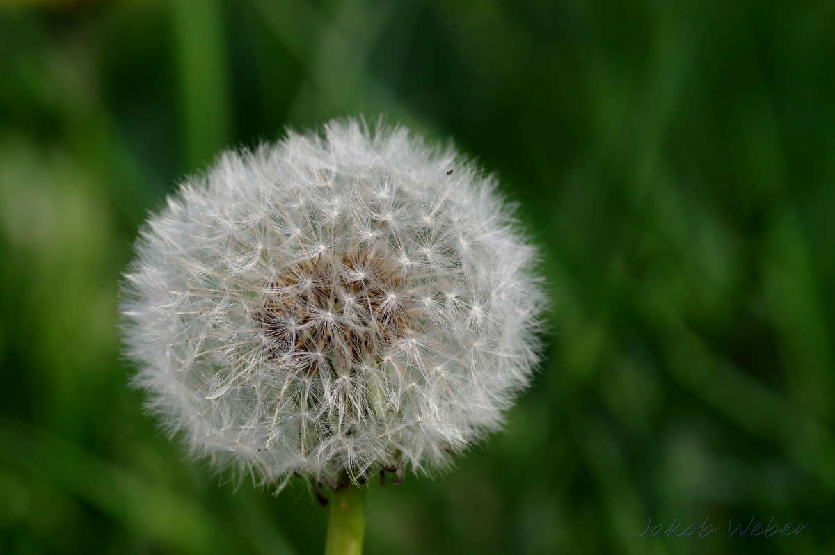 ����������� ����� ���� ����� �� PhotoGeek.ru #����� #������ ��� ������� #�������� ���������� #����� �������������� #������