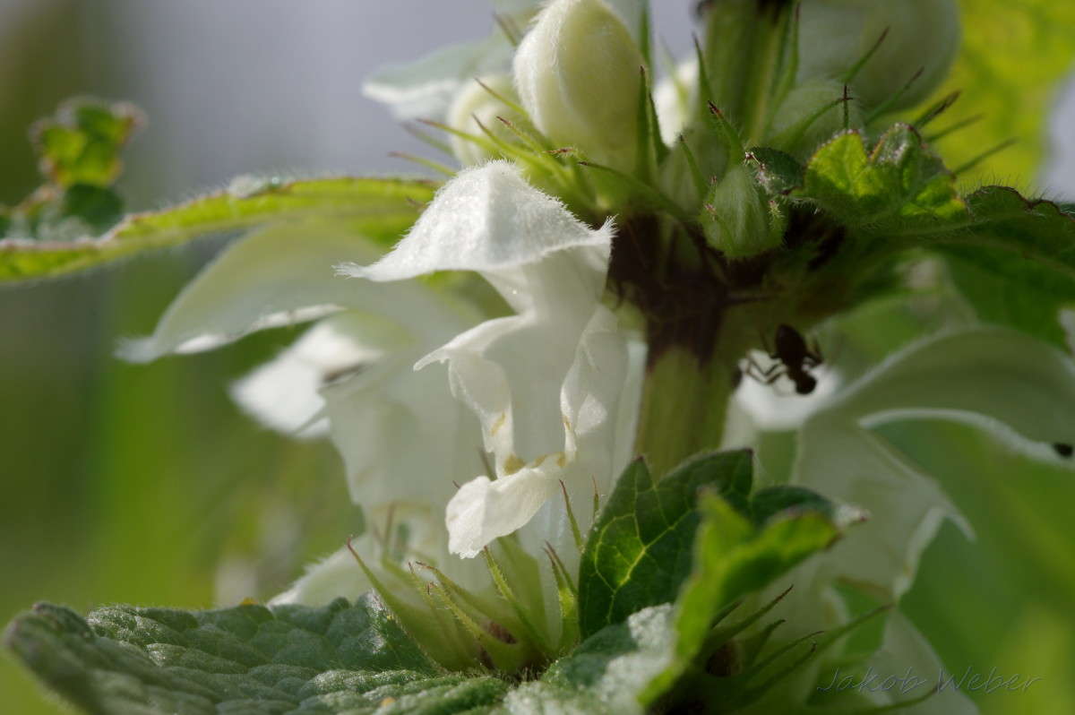 ������� ����� ����� ���� ����� �� PhotoGeek.ru #������ ��� ������� #�������� ���������� #����� �������������� #������