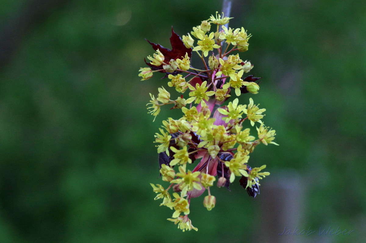 �������� ��������. ����� ���� ����� �� PhotoGeek.ru #������ ��� ������� #�������� ���������� #����� �������������� #������