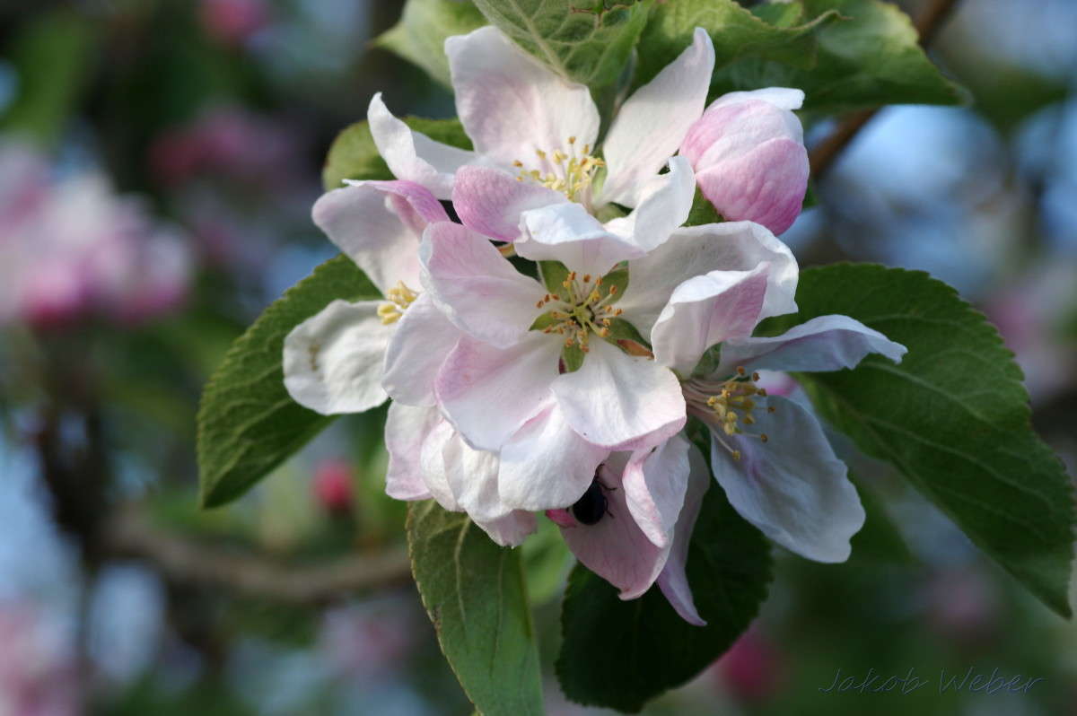 �������� ��������. ����� ���� ����� �� PhotoGeek.ru #������ ��� ������� #�������� ���������� #����� �������������� #������