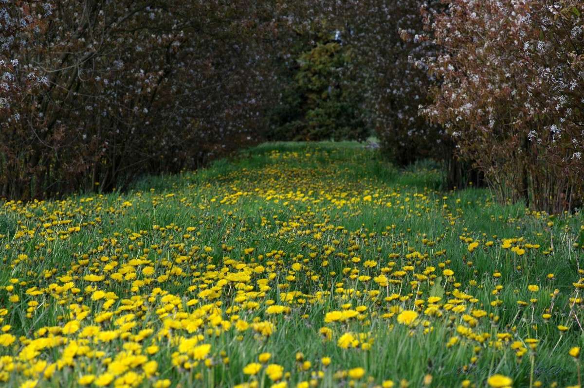 �������� ��������. ����� ���� ����� �� PhotoGeek.ru #������ ��� ������� #�������� ���������� #����� �������������� #������