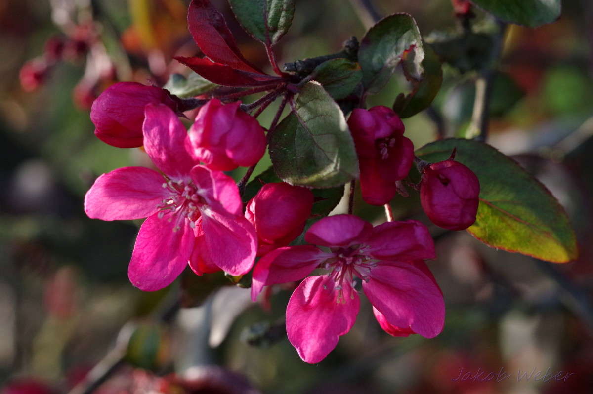 �������� ��������. ����� ���� ����� �� PhotoGeek.ru #������ ��� ������� #�������� ���������� #����� �������������� #������