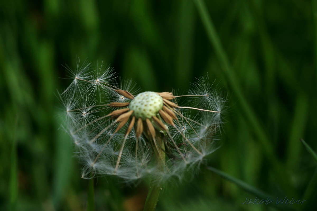 ������� ����� ���� ����� �� PhotoGeek.ru #������ ��� ������� #����� �������������� #������