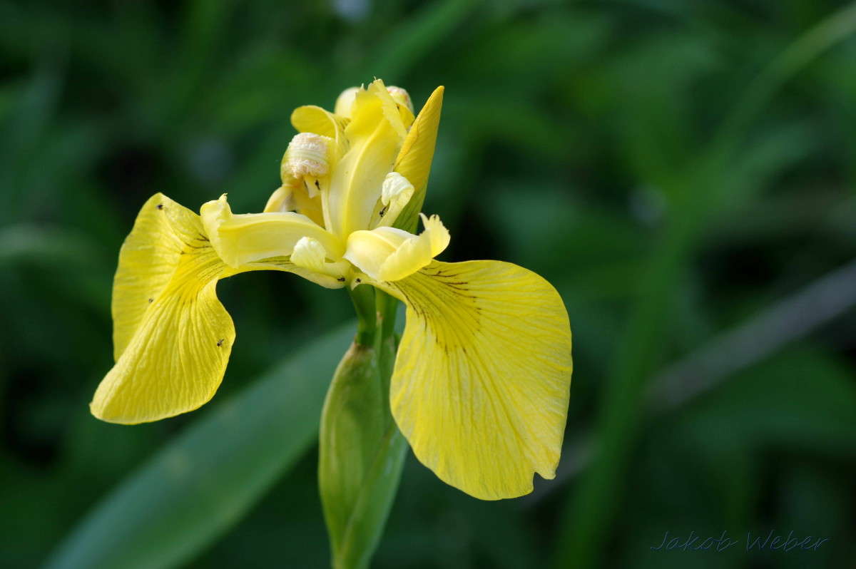 ���� ����� ���� ����� �� PhotoGeek.ru #������ ��� ������� #����� �������������� #������