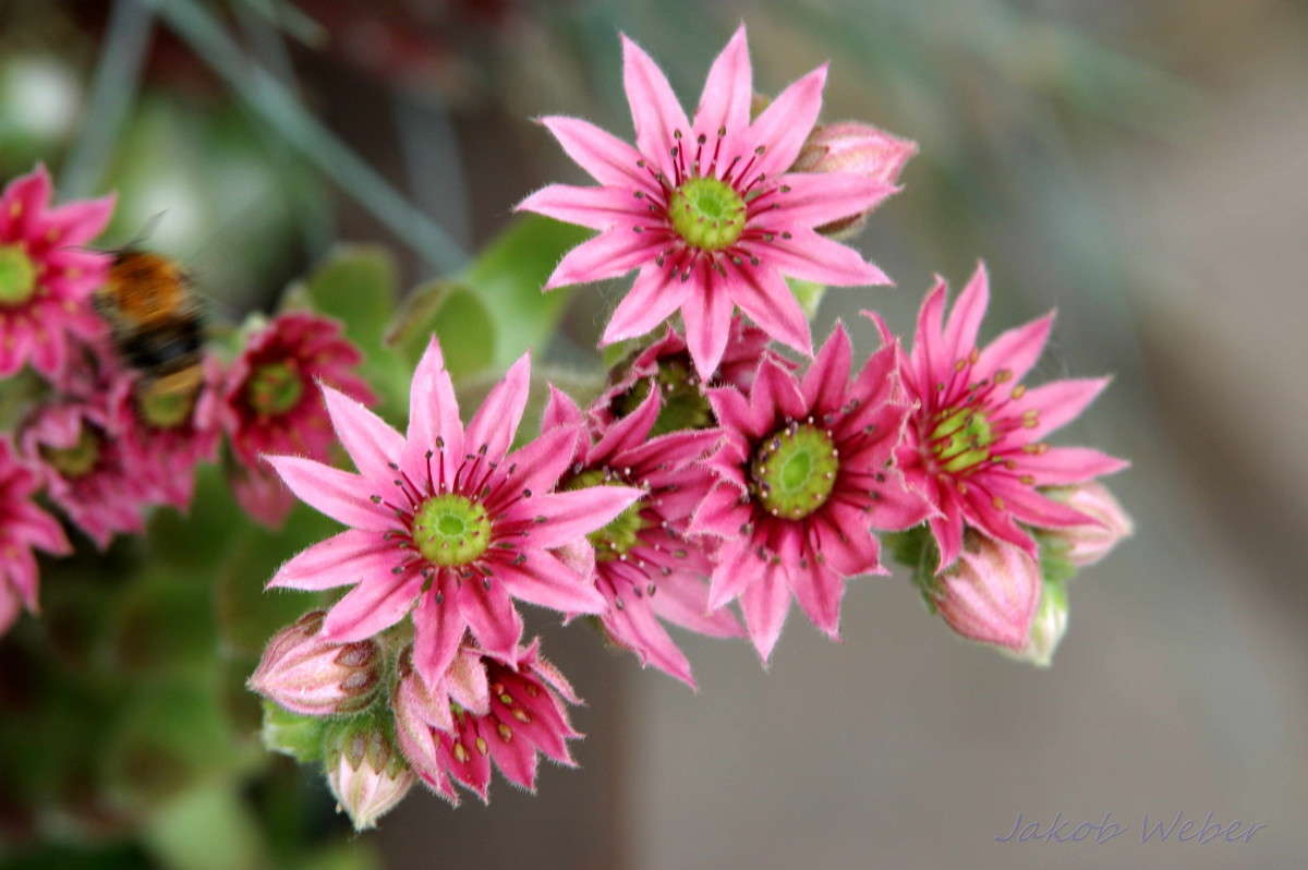 ����������� ����� ���� ����� �� PhotoGeek.ru #������ ��� ������� #����� �������������� #������