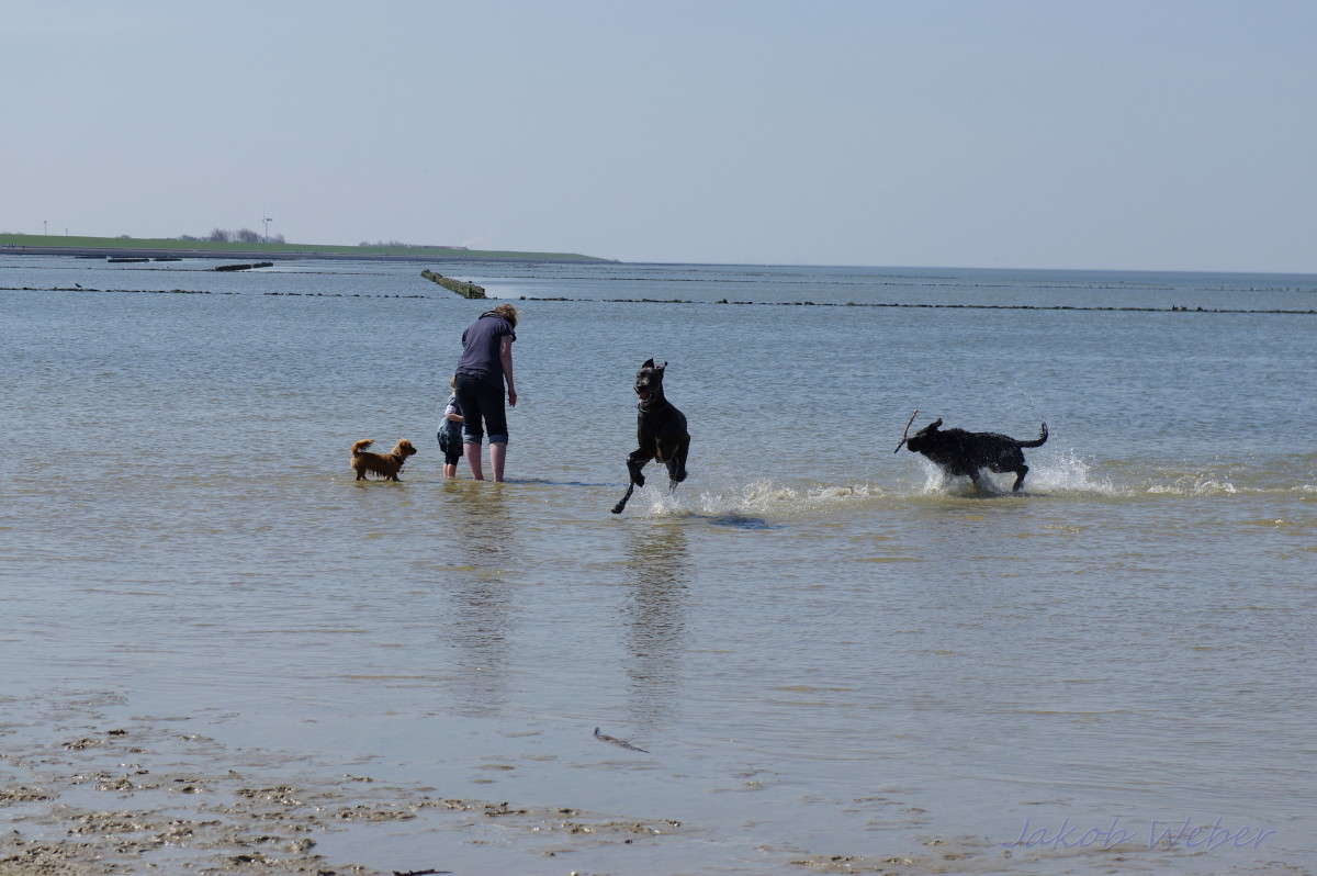 �������������� ����� ���� ����� �� PhotoGeek.ru #�������� ��� #������ ��� ������� #�������� ����������