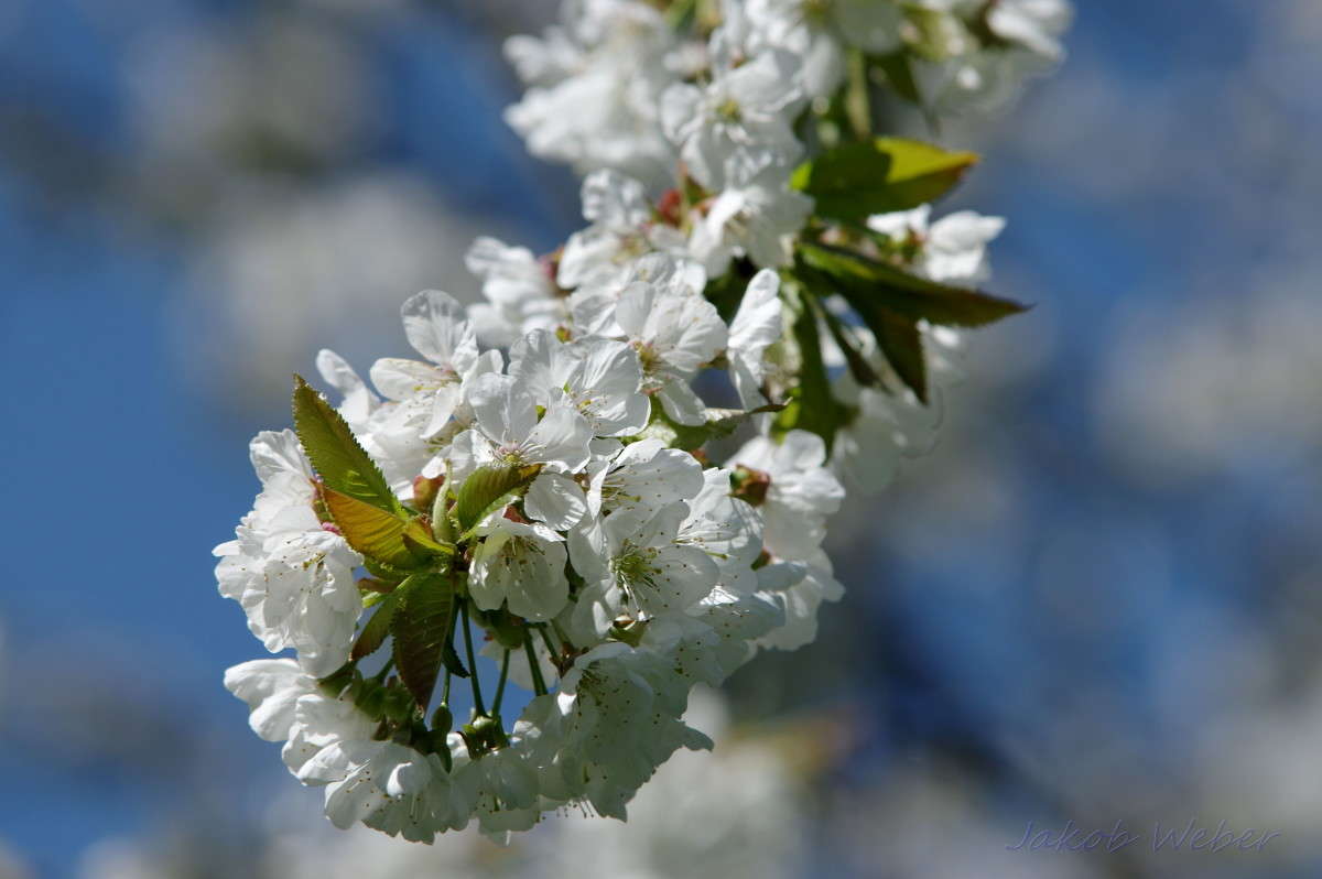 �������� ����. ����� ���� ����� �� PhotoGeek.ru #������ ��� ������� #�������� ���������� #����� �������������� #������