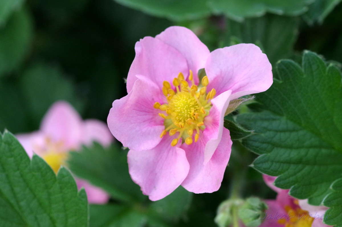 �������� ����� ���� ����� �� PhotoGeek.ru #������ ��� ������� #�������� ���������� #����� �������������� #������